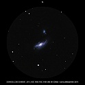 20080426_2243-20080427_0014_NGC 4485, NGC 4490 with SN 2008ax_04 - cutting enlargement 250pc